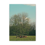 Load image into Gallery viewer, "Gathering Under the Tree" Canvas
