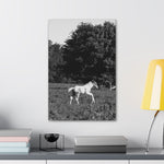 Load image into Gallery viewer, "A Moment in Play" Canvas
