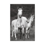 Load image into Gallery viewer, "Venus and Kairos: A Second Chance, A First Glimpse" Canvas
