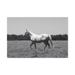 Load image into Gallery viewer, "A Study in Motion" Canvas
