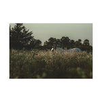 Load image into Gallery viewer, &quot;The Watcher of the Field&quot; Canvas

