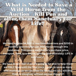 Load image into Gallery viewer, $26,859 needed to rescue 35 Mustangs from March Bowie Auction!
