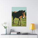 Load image into Gallery viewer, "Eyes That Follow" Canvas
