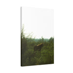 Load image into Gallery viewer, "Looking Back" Canvas
