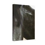Load image into Gallery viewer, "The Story Beneath the Mane" Canvas
