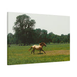 Load image into Gallery viewer, "Renegade Unleashed" Canvas
