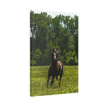 Load image into Gallery viewer, "Goose Being Goose" Canvas
