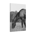Load image into Gallery viewer, "Tristan: The Reclamation" Canvas
