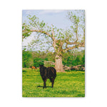 Load image into Gallery viewer, "Midnight Blooms" Canvas
