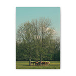 Load image into Gallery viewer, "Gathering Under the Tree" Canvas
