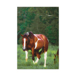 Load image into Gallery viewer, "Resting in Her Wildness" Canvas
