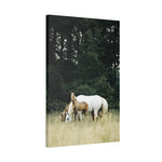 Load image into Gallery viewer, "The Moment He Looked Up" Canvas
