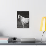 Load image into Gallery viewer, "Where She Stands Now" Canvas
