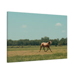 Load image into Gallery viewer, "Sedona. Run Free." Canvas
