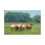 Load image into Gallery viewer, "Bonding in the Meadow" Canvas
