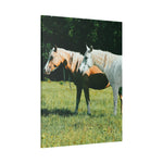 Load image into Gallery viewer, "A Shared Focus" Canvas
