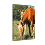 Load image into Gallery viewer, "Growing Into His Mark" Canvas
