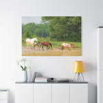 Load image into Gallery viewer, "Into New Waters" Canvas
