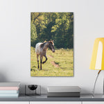 Load image into Gallery viewer, "Magnolia's Path" Canvas
