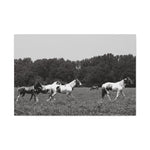Load image into Gallery viewer, "The Contrast Within" Canvas
