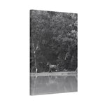 Load image into Gallery viewer, "Reflection of Freedom" Canvas
