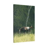 Load image into Gallery viewer, "Thor: Born Free at Nirvana" Canvas
