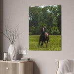 Load image into Gallery viewer, "Goose Being Goose" Canvas
