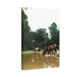 Load image into Gallery viewer, "Together at the Water's Edge" Canvas
