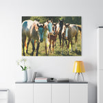 Load image into Gallery viewer, "The Gathering in the Sun" Canvas
