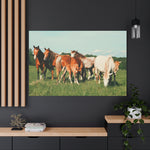Load image into Gallery viewer, "A Family of Many Colors" Canvas
