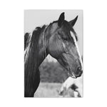 Load image into Gallery viewer, "The Mark of the Wild" Canvas
