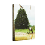 Load image into Gallery viewer, "Drinking in the Sun" Canvas
