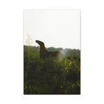 Load image into Gallery viewer, "Scent of Freedom" Canvas

