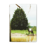 Load image into Gallery viewer, "Drinking in the Sun" Canvas
