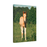 Load image into Gallery viewer, "A New and Wild Heart" Canvas
