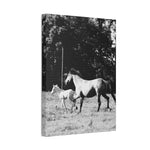 Load image into Gallery viewer, "Chasing Freedom" Canvas

