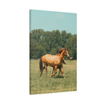 Load image into Gallery viewer, "In Her Footsteps" Canvas
