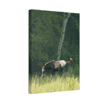 Load image into Gallery viewer, "Thor: Born Free at Nirvana" Canvas
