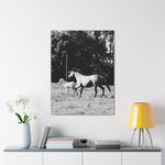Load image into Gallery viewer, "Chasing Freedom" Canvas
