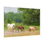 Load image into Gallery viewer, "Into New Waters" Canvas
