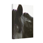 Load image into Gallery viewer, "The Story Beneath the Mane" Canvas
