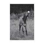 Load image into Gallery viewer, "Baby Henley Smiling" Canvas
