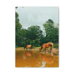 Load image into Gallery viewer, "A Moment to Refresh" Canvas
