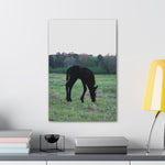 Load image into Gallery viewer, "Indigo Growing Strong and Wild" Canvas
