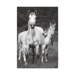Load image into Gallery viewer, "Tristan: From Wild to Worth" Canvas

