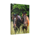 Load image into Gallery viewer, "Spot the Difference" Canvas
