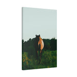 Load image into Gallery viewer, "Walking Into the Light" Canvas
