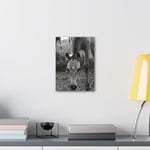 Load image into Gallery viewer, "A Star is Born" Canvas
