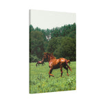 Load image into Gallery viewer, "Parker. Running Again." Canvas
