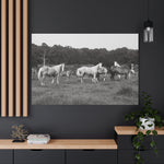 Load image into Gallery viewer, "Drawn to You" Canvas
